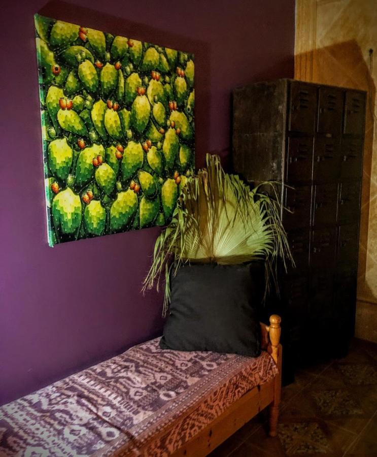 Higos Chumbos, Casa Rural Compartido Chiclana de la Frontera Εξωτερικό φωτογραφία