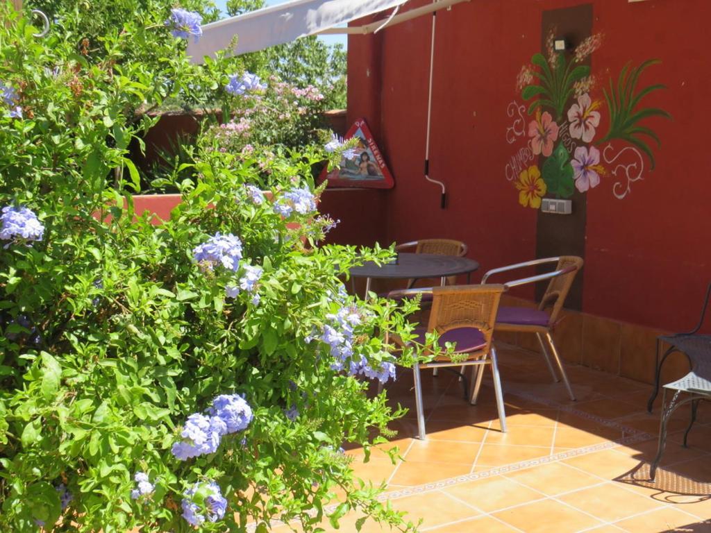 Higos Chumbos, Casa Rural Compartido Chiclana de la Frontera Εξωτερικό φωτογραφία